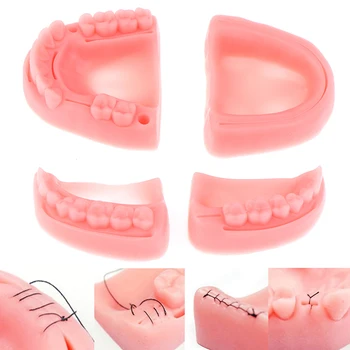  4buc Dentare orale Simulare sutura model de Guma de sutură predare echipamente de formare