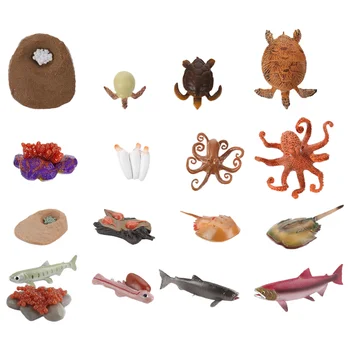  Ciclul De Viață A Animalelor De Mare Animale Jucarii Figurine Model De Jucarie Broasca Testoasa Figurine Ocean Growthmarineoctopus Ofevolution Copii Mici Provizii