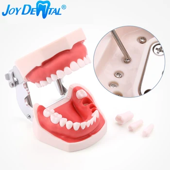  Rășină Dinți Model de Formare Typodont Gumă Moale Dentare Model Detasabil cu Dinți Pentru Tehnician Dentar Practica de Predare