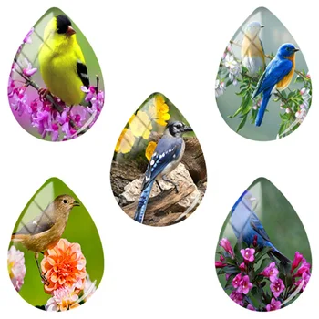  TAFREE Naturale Animale Păsări Planta Flori Picătură de Apă Cupolă de Sticlă 18x25mm Spate Plat Cabochons Bijuterii Constatările BD86